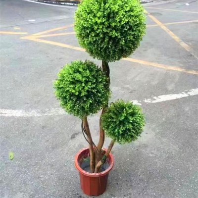 boxwood ball  factory topiary artificial grass ball