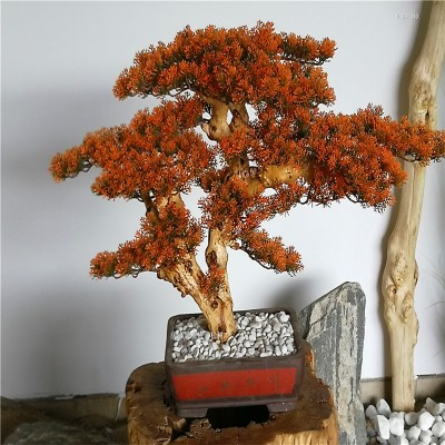 Artificial pine potted various types of artificial pine bonsai in the interior decoration, very good-looking