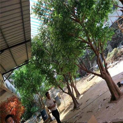 Chinese custom factory large artificial banyan tree size can be customized as required can be made into golden leaves