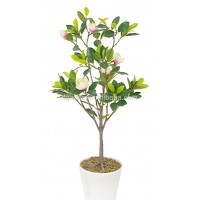 indoor Home garden decorative 250cm Height make artificial green live magnolia bonsai tree EXLYPZ06 0509