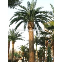 artificial palm tree indoor decoration house /hotel plastic palm tree canada