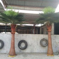 Artificial outdoor palm tree plants