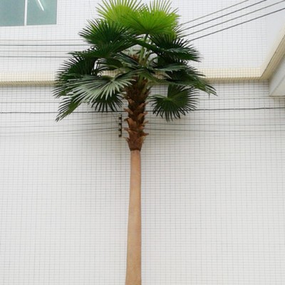 chinese manufacture sale outdoor and indoor artificial chinese fan palm trees fake livistona chinensis tree