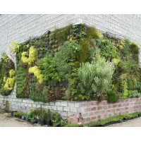 Home Made Decorative Green Fake Covering Leaf Eco-friendly Garden Cheap Hanging Landscape Artificial Plant Wall