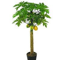 Guangzhou PLASTIC TREES SALE ARTIFICIAL plant  FRUIT TREES