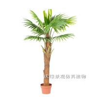 Wholesale Outdoor Fiberglass Artificial Coconut Palm Tree For garden