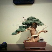 Artificial pine bonsai decoration, durable, anti-uv fading