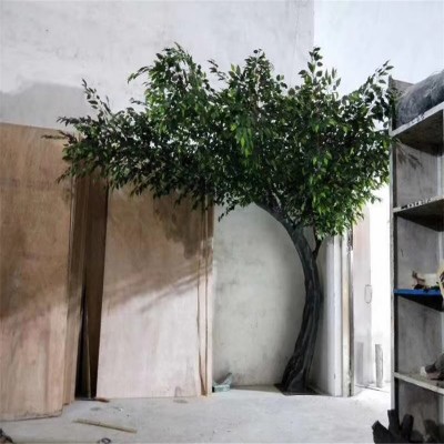 Wholesale Outdoor Fiberglass Artificial Coconut Palm Tree