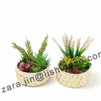 2020 New Creative Flower Pot Simple Pastoral Potted Succulent Plant Potted Garden Tools Office Balcony Home Decoration Supplies