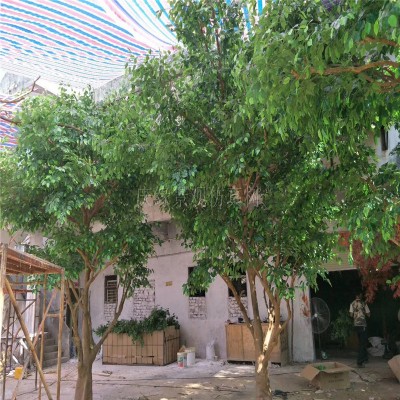 Real banyan real touch fiberglass/large Chinese artificial banyan/for indoor and outdoor decoration