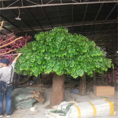 Large fibreglass artificial banyan/for indoor and outdoor decoration/real touch of banyan