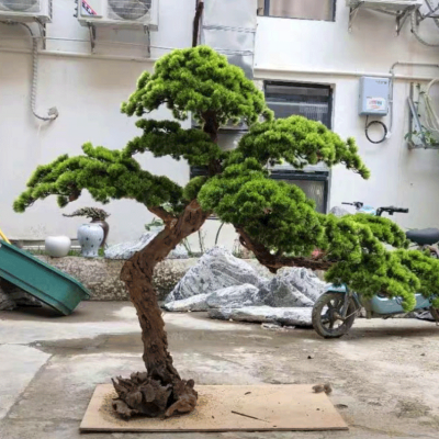 artificial landscape plant decorative artificial pine trees