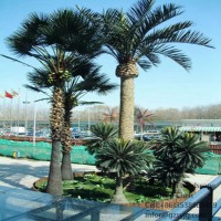 artificial coconut tree high quality 1-13meters fiberglass artificial palm trees