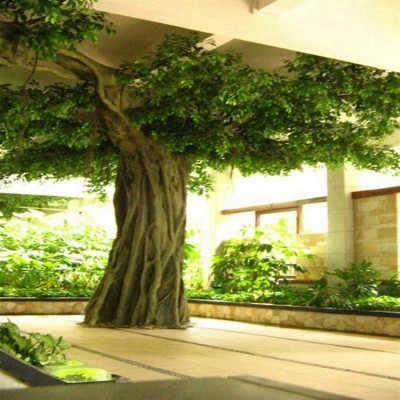 Wholesale 3 metres high 60cm diameters fiberglass artificial banyan tree large artificial decorative tree for hotel decor